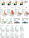 Phenotyping the characteristics of expanded EC clusters by FSFC.