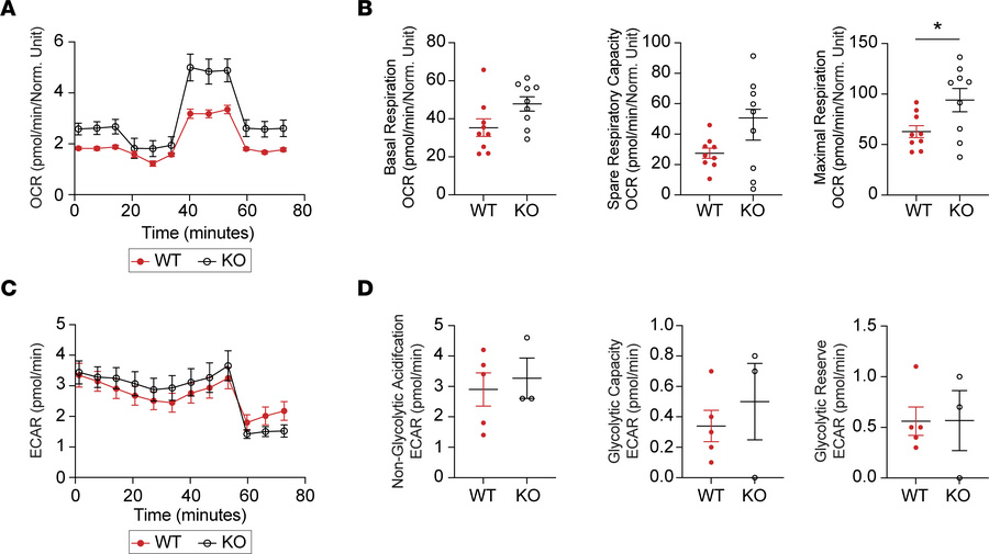 AFF3 is necessary to maintain CD8 T cell metabolic quiescence CD8 T cell...
