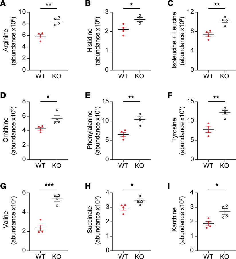 AFF3 deficiency leads to the accumulation of amino acids and other metab...