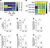 AFF3 deficiency changes the expression of solute carriers and results in de