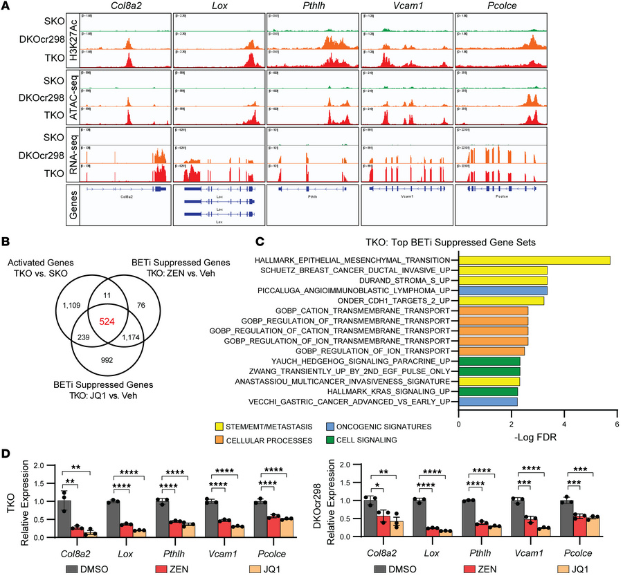 BETi blocks induction of stemness, EMT, and metastasis pathways in Trp53...