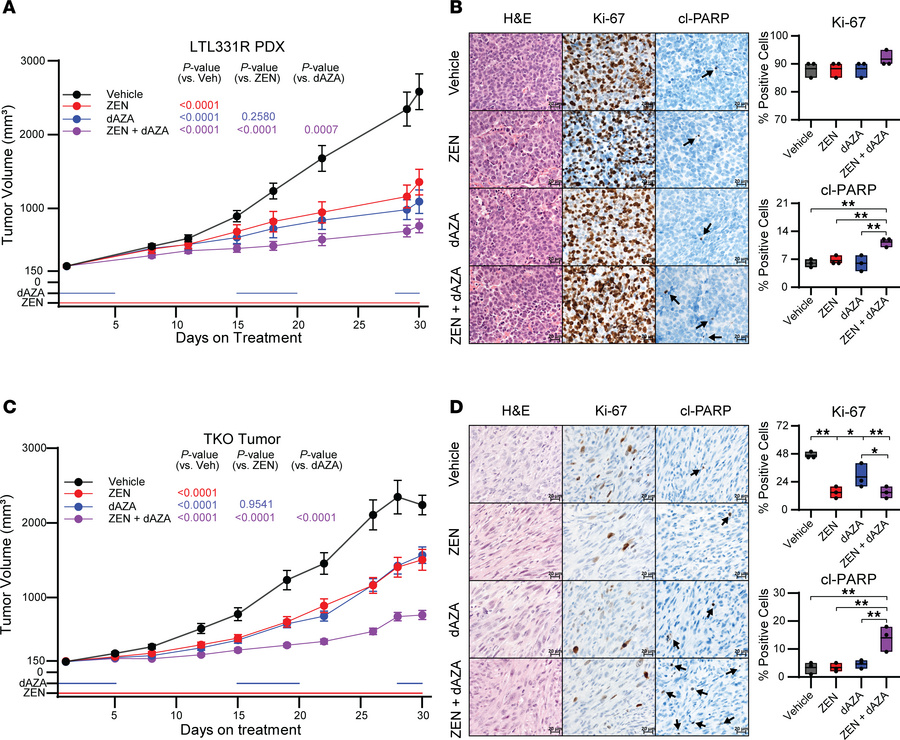 BETi and DNMTi combination treatment leads to superior growth suppressio...