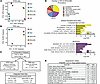 Trp53/Rb1 loss leads to global chromatin hyper-accessibility changes and ac