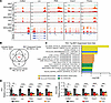 BETi blocks induction of stemness, EMT, and metastasis pathways in Trp53/Rb