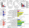 BETi and DNMTi combination treatment leads to superior growth suppression a