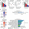 BETi and DNMTi combination treatment leads to superior growth suppression i