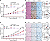 BETi and DNMTi combination treatment leads to superior growth suppression i