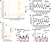 Effect of PFD on ECM modulating enzymes and matricellular proteins in ADPKD