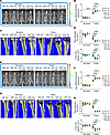 Effects of cohousing SFB– and SFB+ mice on bone tumor growth.