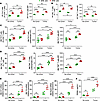 Effects of SFB on PP and BM Th17 cell and TNF+ T cell frequency and MFI and
