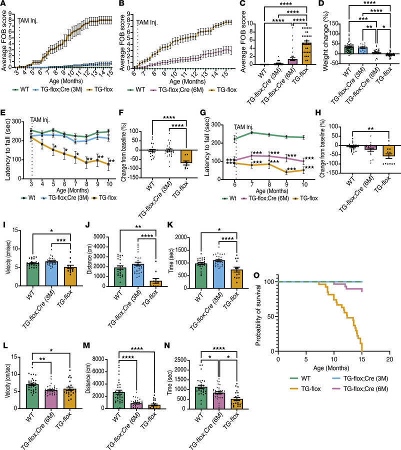 Reduction of hLMNB1 improves motor function in Tg-flox;Cre (3M) and surv...