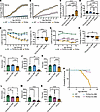Reduction of hLMNB1 improves motor function in Tg-flox;Cre (3M) and surviva