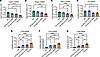 Reduction of hLMNB1 restores lipid synthesis gene expression to WT levels i