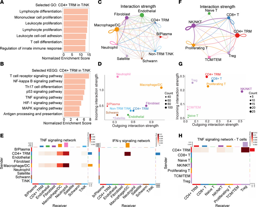 Functional characterization of TRMs and interactions between TRMs and ot...