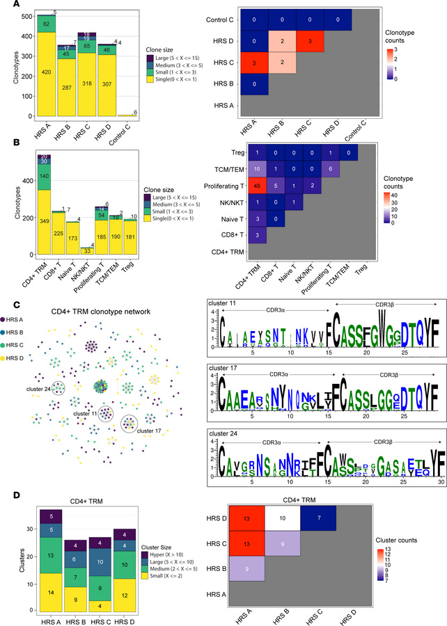 Expanded clonotypes are identified in muscle tissue from HRS-induced myo...