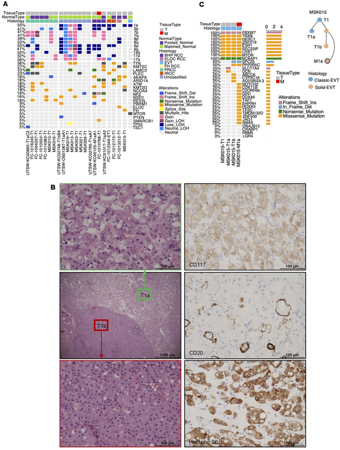 Integrated genomic profiling refines the classification of metastatic no...