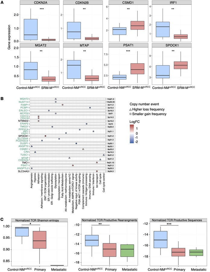 SRM-MccRCC exhibits immune-related transcriptional and copy-number alter...