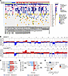 SRM-MccRCC retains canonical ccRCC drivers but is enriched for multi-hit ge