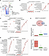 Transcriptional profiling of SRM-MccRCC reveals metabolic reprogramming and