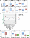 SRM-MccRCC exhibits immune-related transcriptional and copy-number alterati