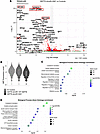 Transcriptional profiling of human CD34+ cells transduced with SEPT6 GM1.
