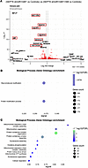 Transcriptional profiling of the genes rescued by the double mutant.