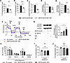 Rescue of premature senescence in human CD34+ cells caused by GM1.
