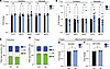 SkM-TSC2-5A muscle displays a moderate increase in mitochondrial content wi