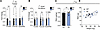 AKT-mediated phosphorylation of TSC2 does not affect skeletal muscle expres