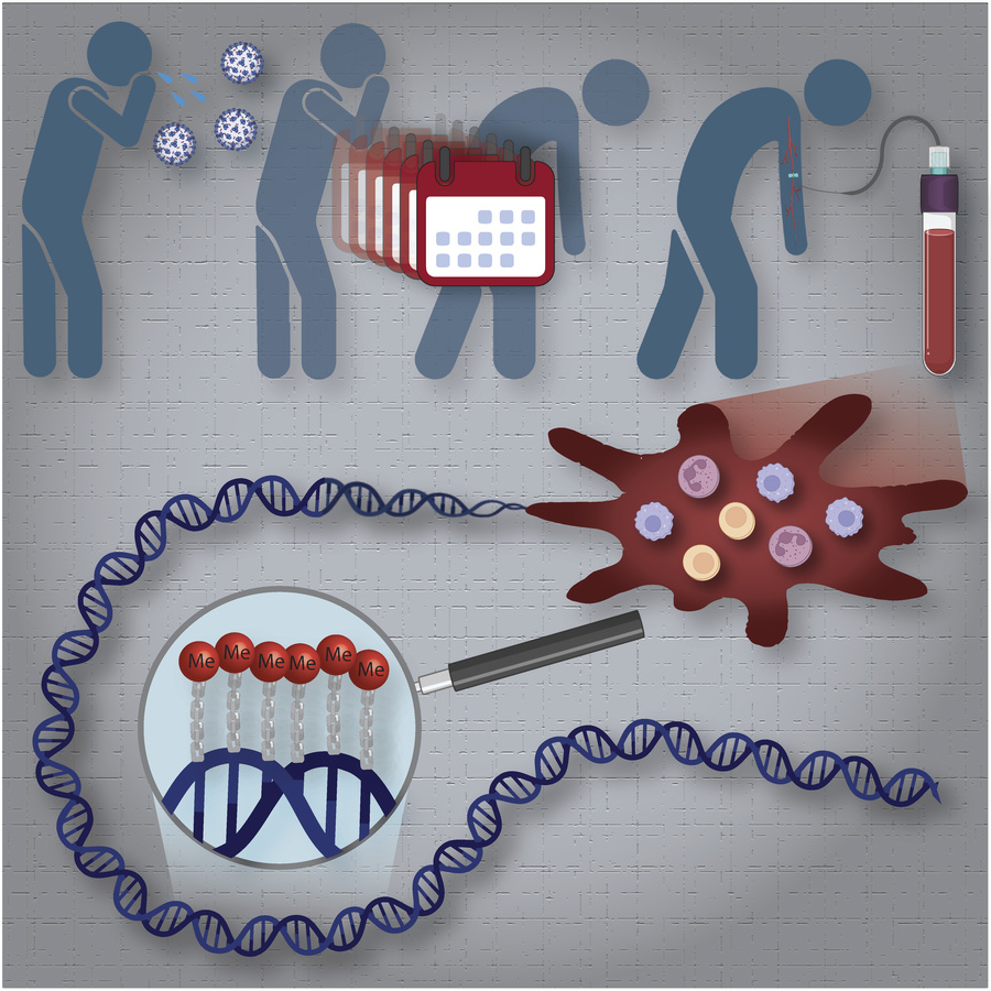 graphical abstract