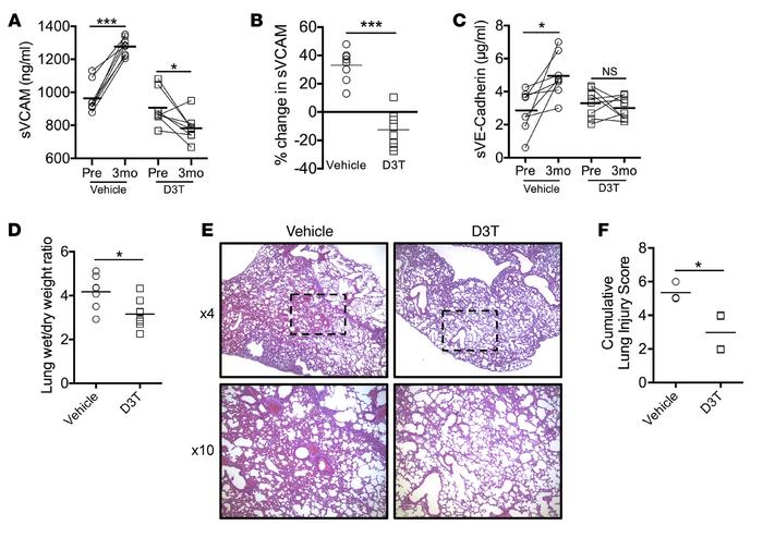 Nrf2 activation reverses endothelial inflammation and impedes lung damag...
