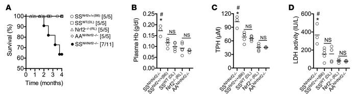 Nrf2 deficiency in nonhematopoietic tissues increases lethality rate and...