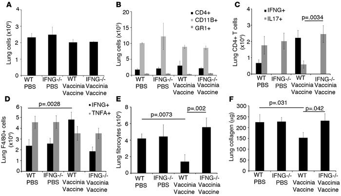 Reversal of pulmonary fibrosis by vaccinia immunotherapy requires Th1 CD...