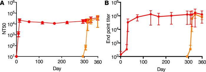 Antibody levels in the safety study.
CHIKV specific neutralizing (A) and...
