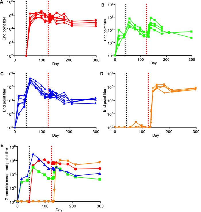 Binding antibody responses to CHIKV vaccines as described in Figure 2 (A...