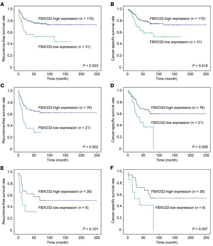 FBXO32 expression and survival outcome of surgically treated upper urina...