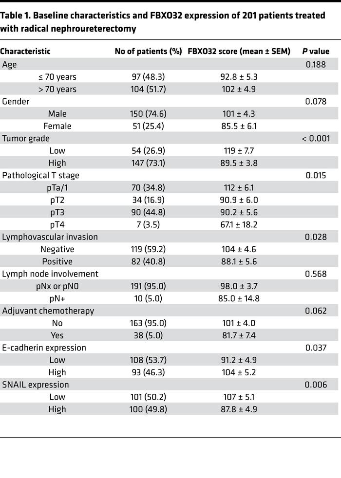Baseline characteristics and FBXO32 expression of 201 patients treated w...