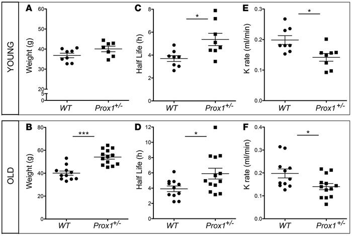 Reduced clearance of lymphatic tracer after ear injection in young and o...