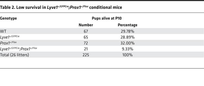 Low survival in Lyve1+/GFPCre;Prox1+/Flox conditional mice