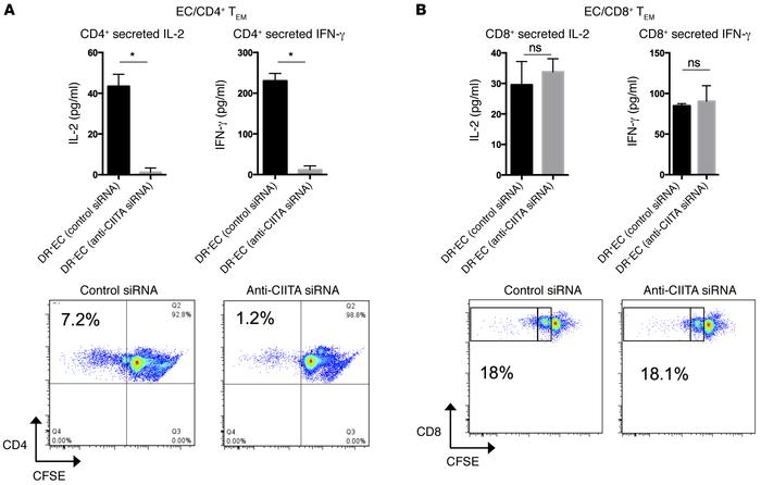 siRNA-mediated knockdown of CIITA in EC directly inhibits CD4+ but not C...