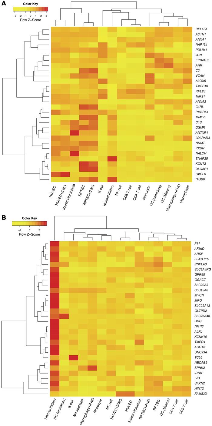 Expression of the top 30 TxBx-corrected transcripts associated with high...