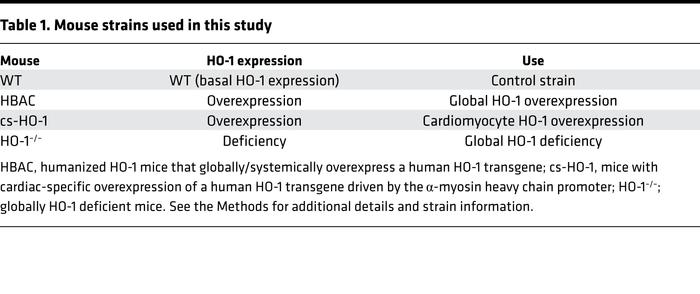 Mouse strains used in this study