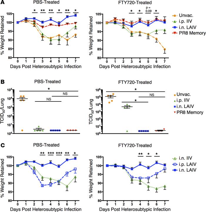 LAIV generates TRM-mediated heterosubtypic protection.
(A) Morbidity fol...