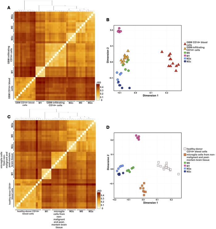 Expression profiles of glioblastoma-infiltrating CD14+ monocyte lineage ...