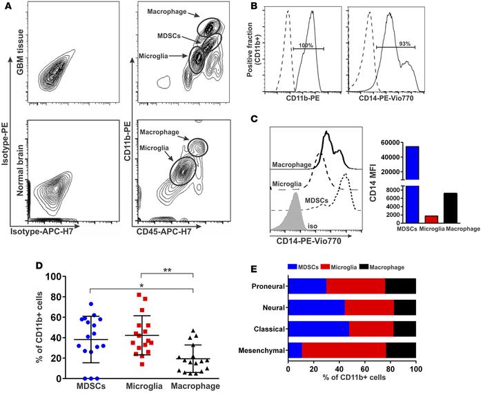 Characteristics of MDSCs, microglia, and macrophages within glioblastoma...