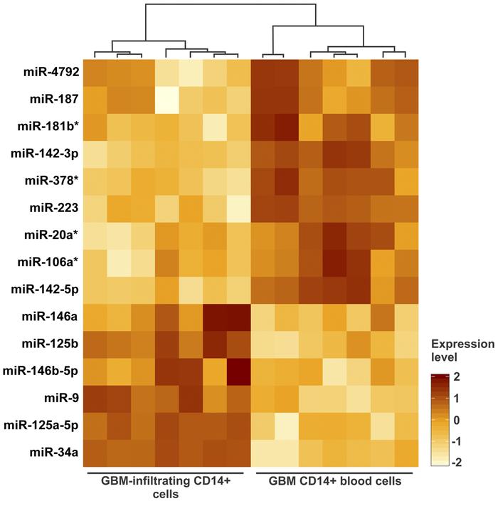 miRNA expression profile of myeloid cells upon interaction with glioblas...