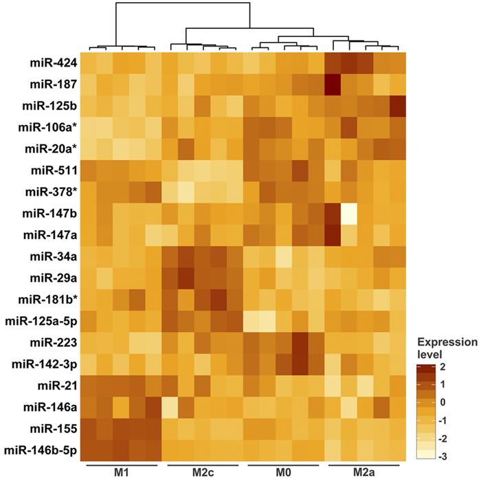 miRNA expression profile of nonpolarized and polarized macrophages.
A he...