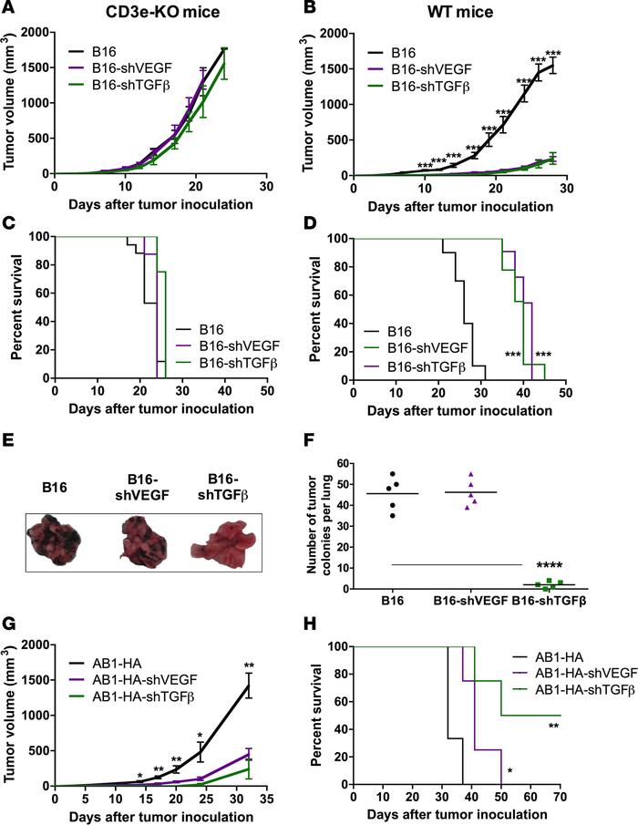 VEGF or TGF-β silencing induces a T cell–dependent growth delay of B16 a...