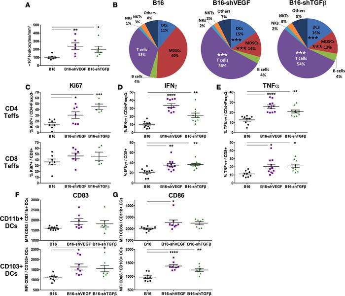 VEGF or TGF-β silencing dramatically impacts the composition and activat...