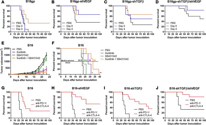 Tumor-derived VEGF and TGF-β contribute to the onset of dominant toleran...
